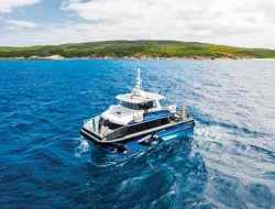 Whale Watching in Dunsborough